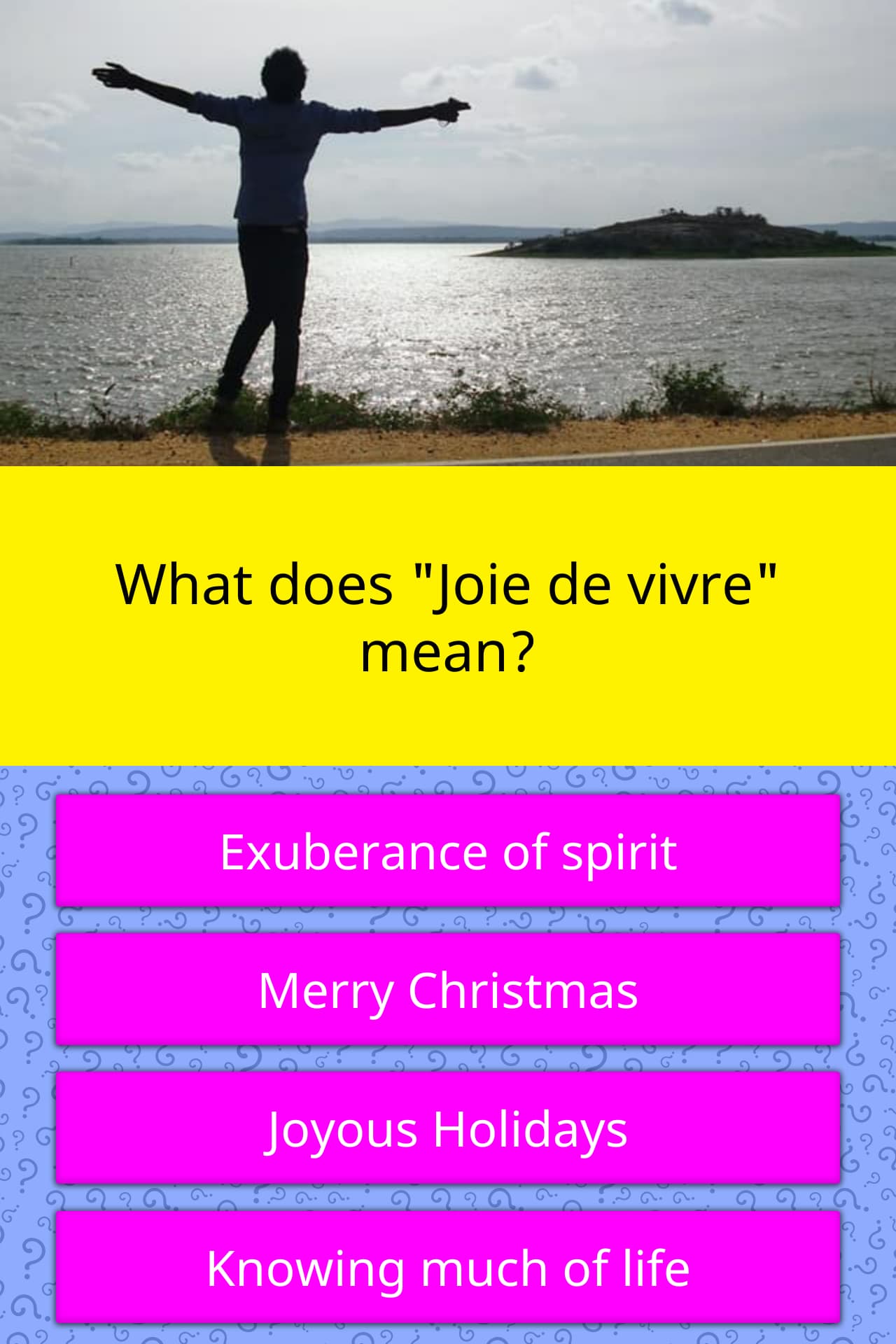 what-does-joie-de-vivre-mean-trivia-questions-quizzclub