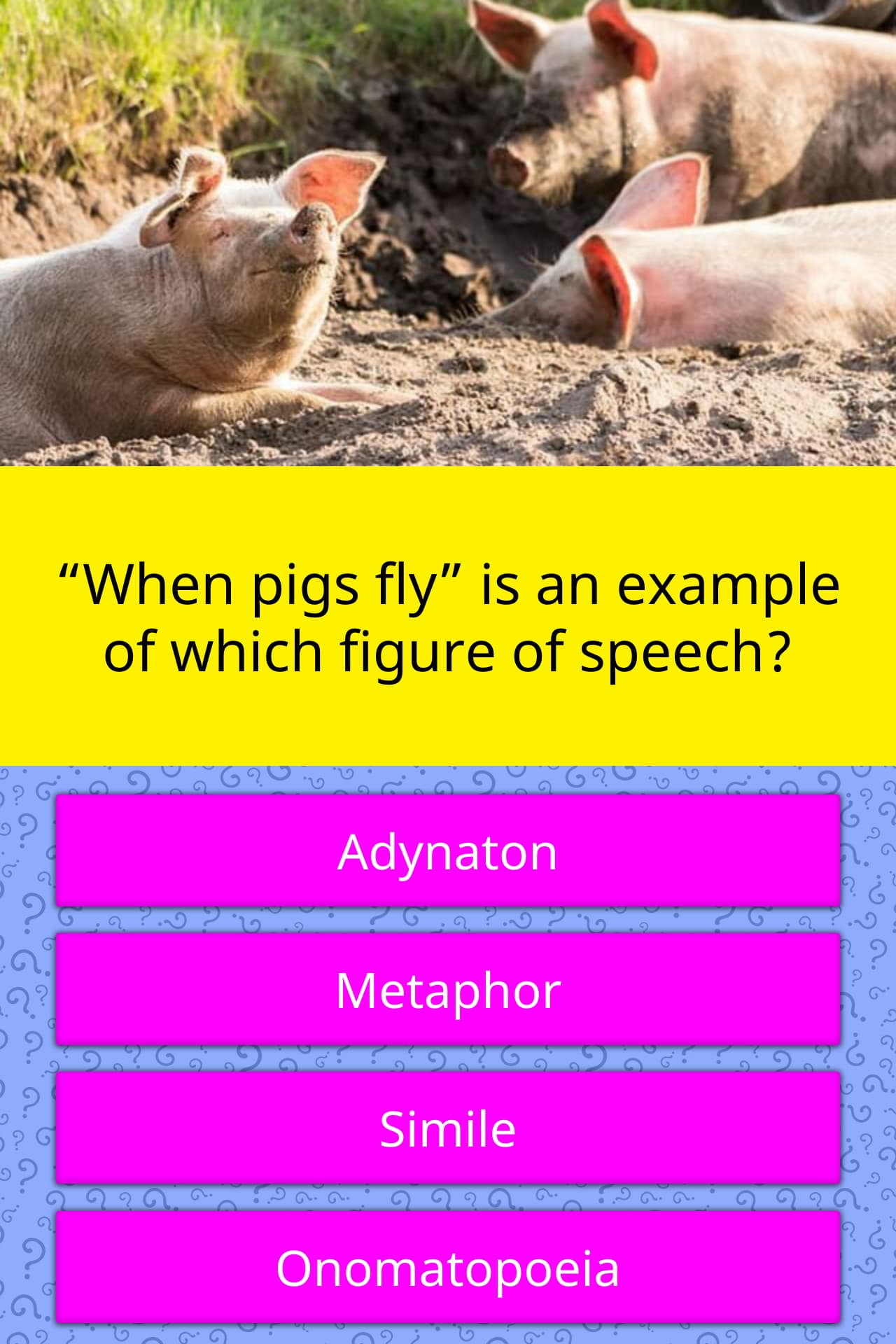  When Pigs Fly Is An Example Of Trivia Questions QuizzClub