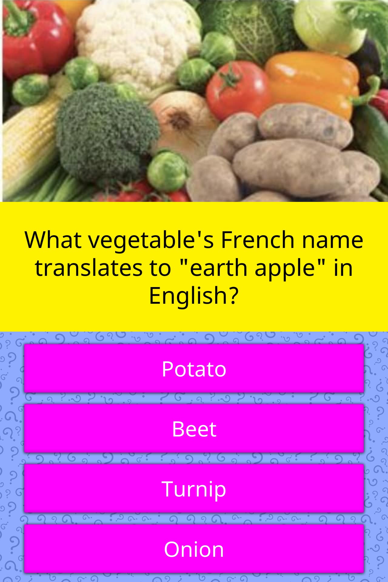 what-vegetable-s-french-name-trivia-questions-quizzclub