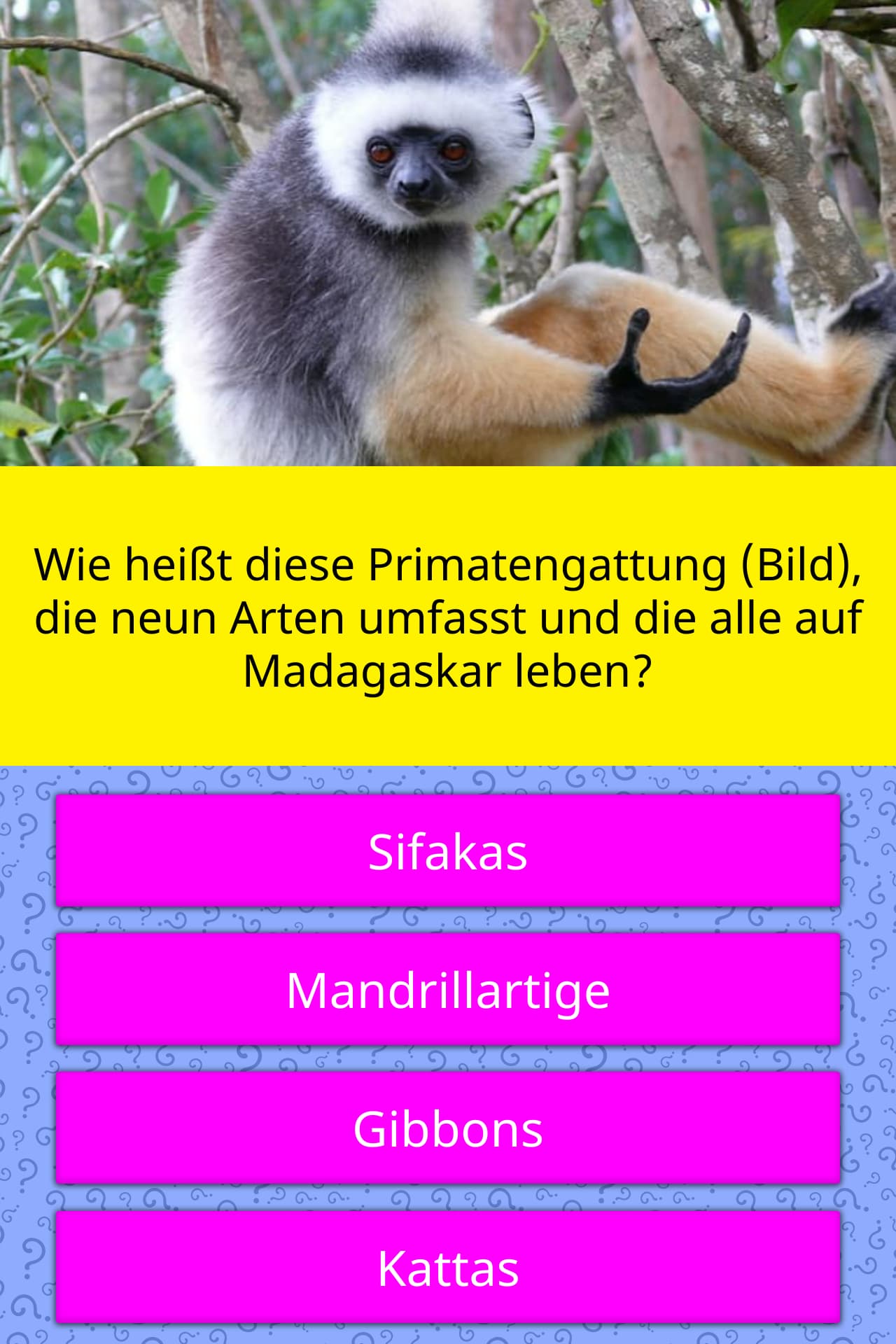 Wie Spitz Diese Schulmädchen Ist Wie Spitz Diese Schulmädchen Ist