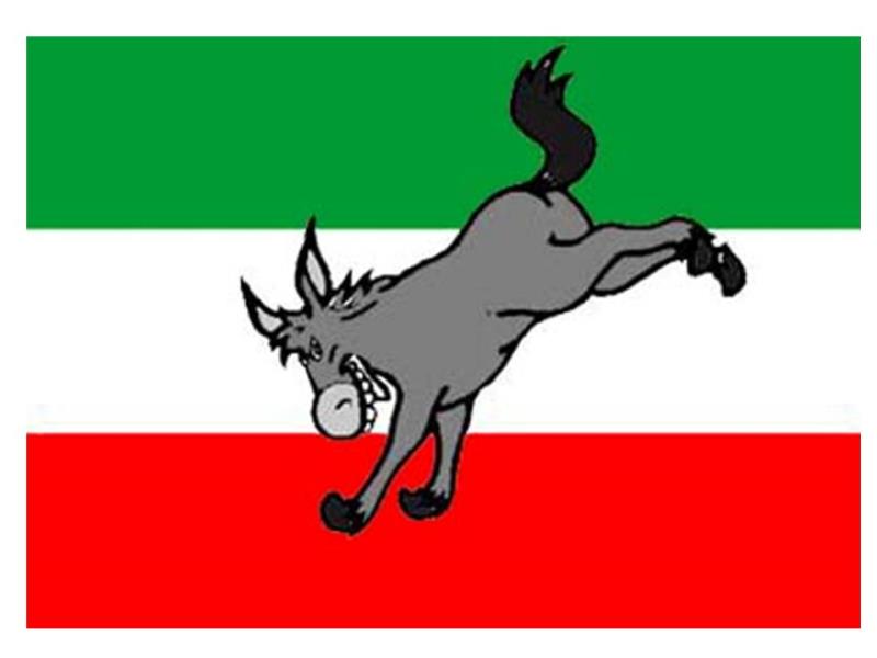 History Trivia Question: What is a "Persian Donkey"? History Trivia Question: What is a "Persian Donkey"?