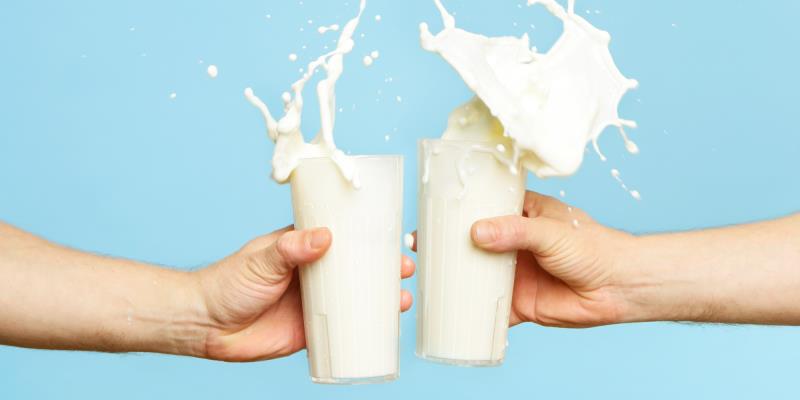 Which country is the largest producer of milk in the world?