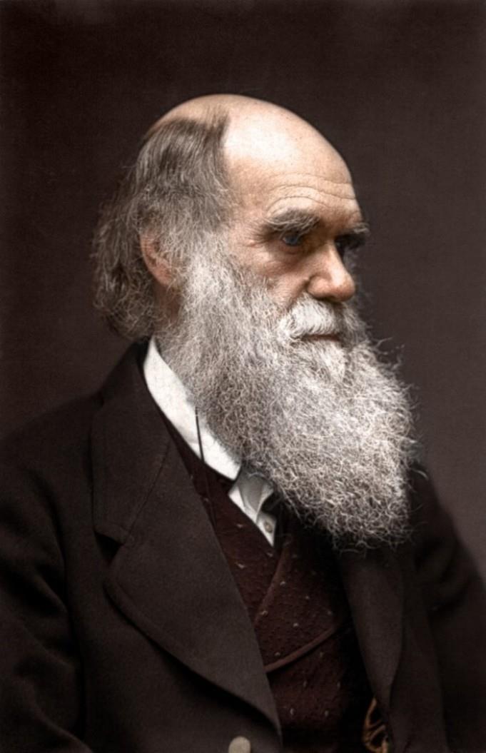 Who is the person depicted below?