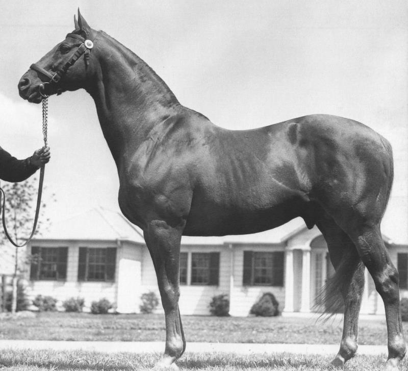 In his illustrious racing career the great Man o' War won all of his horse races except one, the Sanford Memorial Stakes, where he lost by a neck. What was the name of the horse that beat him? In his illustrious racing career the great Man o' War won all of his horse races except one, the Sanford Memorial Stakes, where he lost by a neck. What was the name of the horse that beat him?