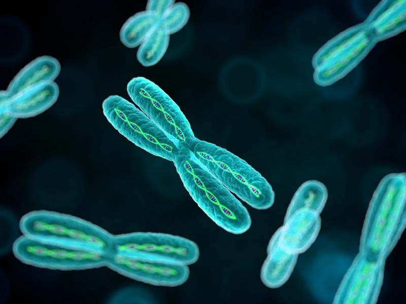 What genetic condition is known as "Guevedoce"? What genetic condition is known as "Guevedoce"?