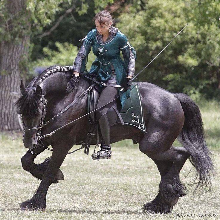 Why was Alexander the Great's horse named Bucephalus? Why was Alexander the Great's horse named Bucephalus?