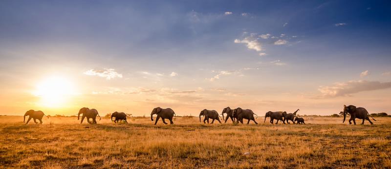 Geography Trivia Question: Botswana is a country on which continent? Geography Trivia Question: Botswana is a country on which continent?