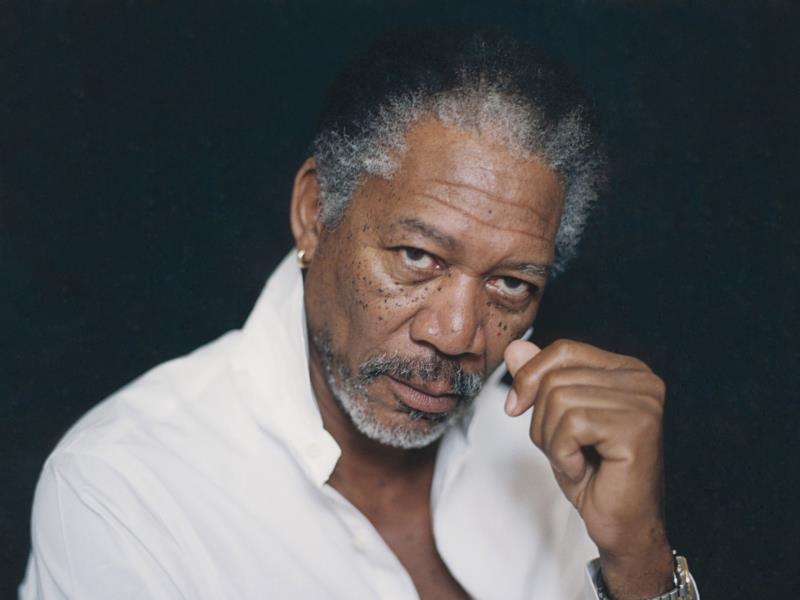 History Trivia Question: In what TV program did Morgan Freeman get his start on his way to stardom? History Trivia Question: In what TV program did Morgan Freeman get his start on his way to stardom?