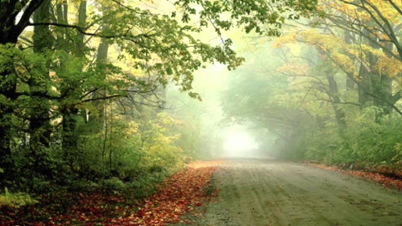 Geography Trivia Question: Where is Poets' Walk Park located? Geography Trivia Question: Where is Poets' Walk Park located?