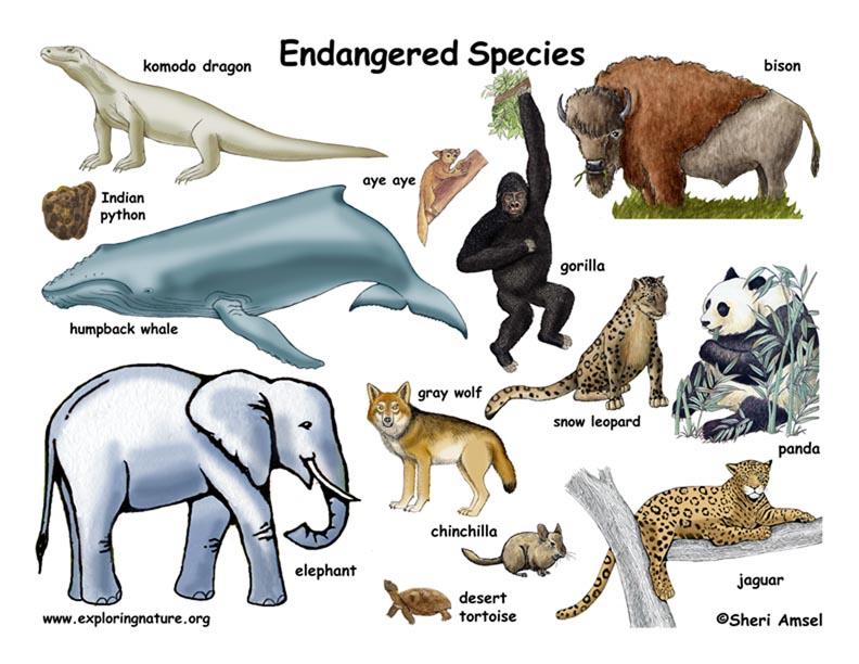What fish, thought to have become extinct 66 million years ago, was rediscovered off the coast of Africa in 1938? What fish, thought to have become extinct 66 million years ago, was rediscovered off the coast of Africa in 1938?