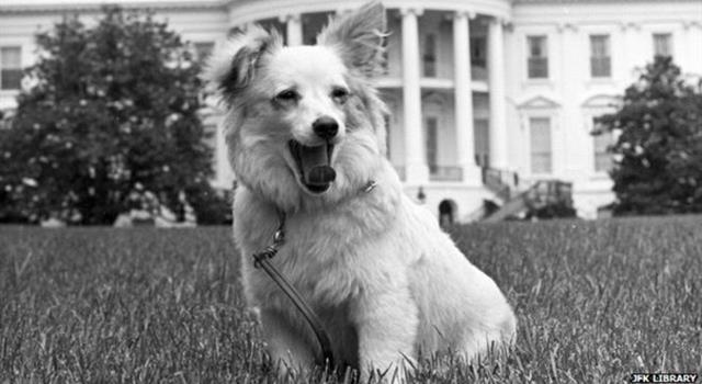 What was the name of the dog that Russian Premier Nikita Khrushchev gave to Caroline Kennedy? What was the name of the dog that Russian Premier Nikita Khrushchev gave to Caroline Kennedy?