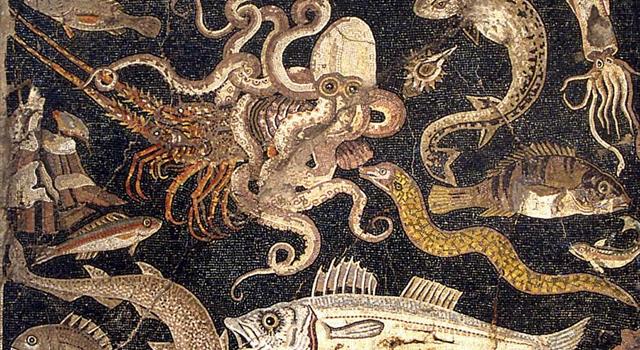 Culture Trivia Question: What is a glirarium? Culture Trivia Question: What is a glirarium?