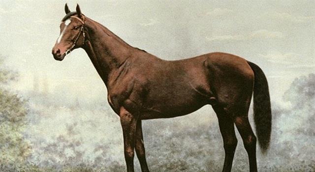 Which horse owned by the Prince of Wales, won the Derby, 2000 Guineas and the St. Ledger in 1900? Which horse owned by the Prince of Wales, won the Derby, 2000 Guineas and the St. Ledger in 1900?