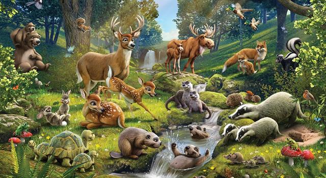 Culture Trivia Question: Skulk is a collective noun for what animals? Culture Trivia Question: Skulk is a collective noun for what animals?