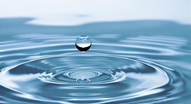 What planetary body (Planet or Moon) in the solar system is believed to have the most water? What planetary body (Planet or Moon) in the solar system is believed to have the most water?
