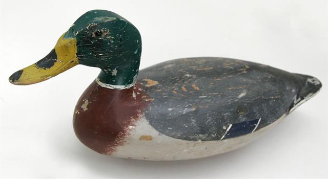Nature Trivia Question: What term is used for an artificial bird used by hunters to attract ducks? Nature Trivia Question: What term is used for an artificial bird used by hunters to attract ducks?