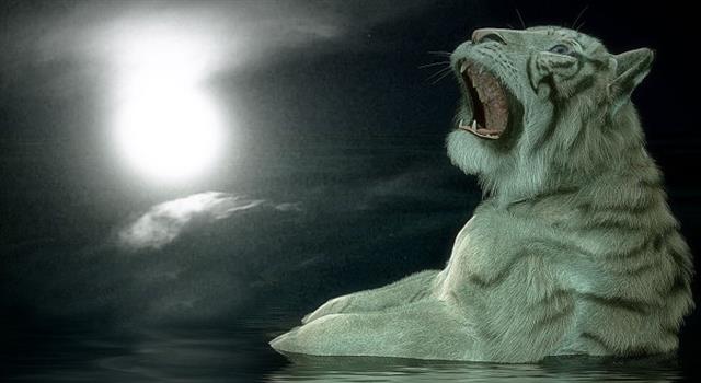What was the name of the novelist who won the Man Booker Prize in 1987 for her acclaimed novel 'Moon Tiger'?