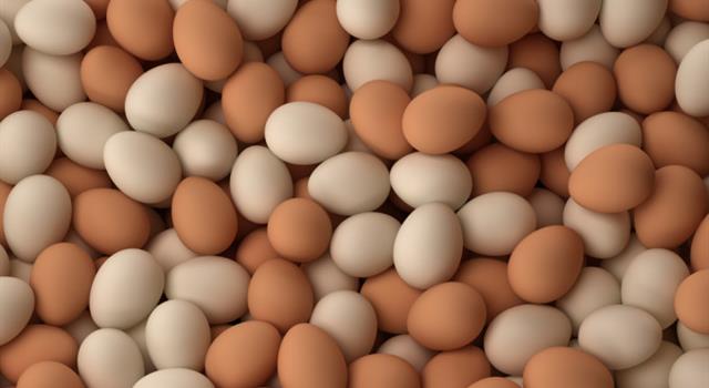 Which of these vitamins is not present in chicken eggs?