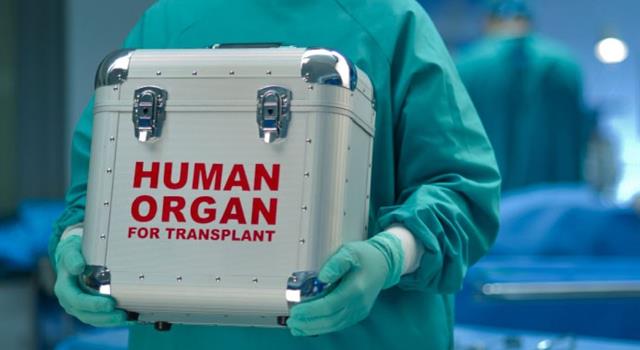 In 1963, Thomas Starzl performed the first human transplant of what part of the body?