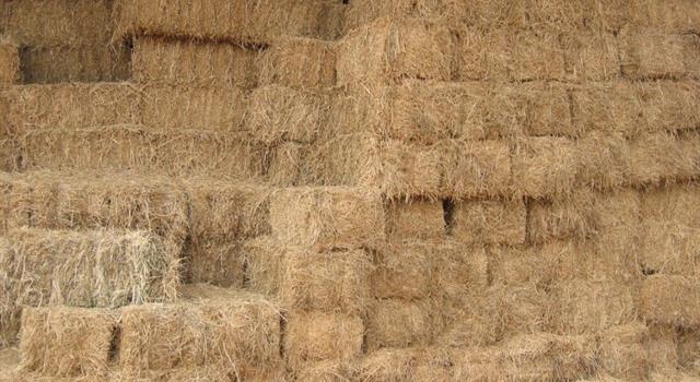 In agriculture what word is used to describe a bundle of hay or straw of a specific weight? In agriculture what word is used to describe a bundle of hay or straw of a specific weight?