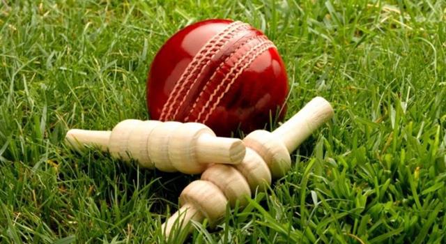 The core of a cricket ball is made from which material?