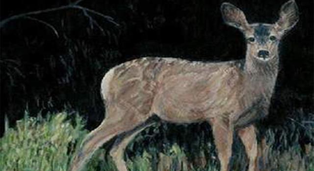 What was the name of Jody's pet fawn in the Marjorie Rawlings novel "The Yearling"?