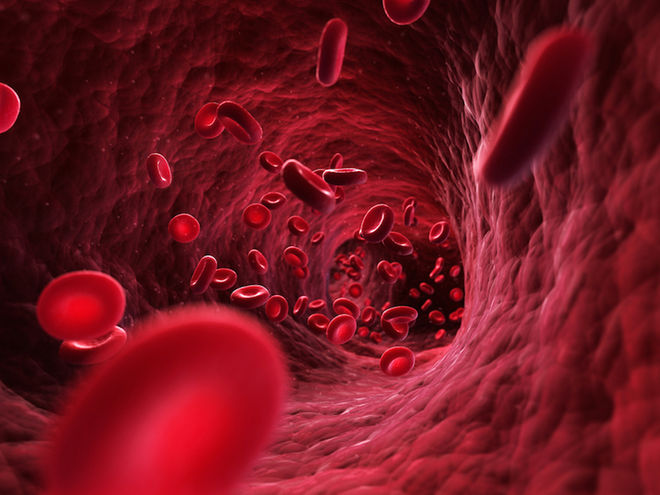 What is a Phlebotomist?