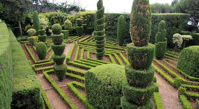 Which botanical garden features a 14-foot topiary dragon? Which botanical garden features a 14-foot topiary dragon?