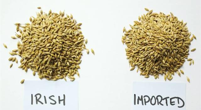 History Trivia Question: Which laws protected British farming by charging duties on imported grain? History Trivia Question: Which laws protected British farming by charging duties on imported grain?