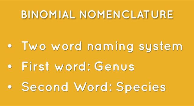 Which scientist is credited with devising the system of naming animals by two Latin words, known as binomial nomenclature?