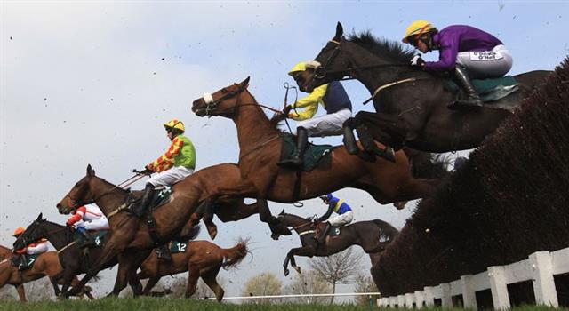 Sport Trivia Question: Who finally became British champion jump jockey in 2016, after having finished runner-up on sixteen occasions? Sport Trivia Question: Who finally became British champion jump jockey in 2016, after having finished runner-up on sixteen occasions?