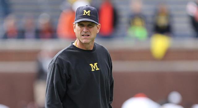 American Football coach Jim Harbaugh once guest-starred on which TV show?