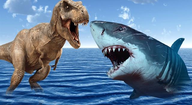 Nature Trivia Question: Now extinct, what shark is thought to have been the largest on Earth? Nature Trivia Question: Now extinct, what shark is thought to have been the largest on Earth?