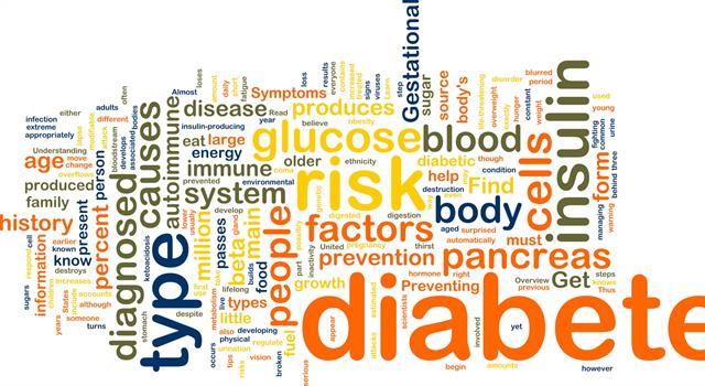 What does a person's chronotype determine?