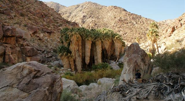 What is California's largest state park?