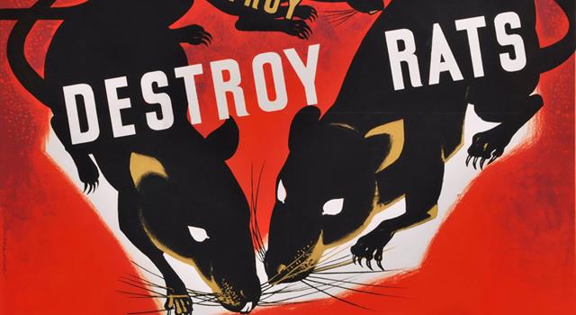 Society Trivia Question: As of 2017, which city in the United States is the most rat infested? Society Trivia Question: As of 2017, which city in the United States is the most rat infested?
