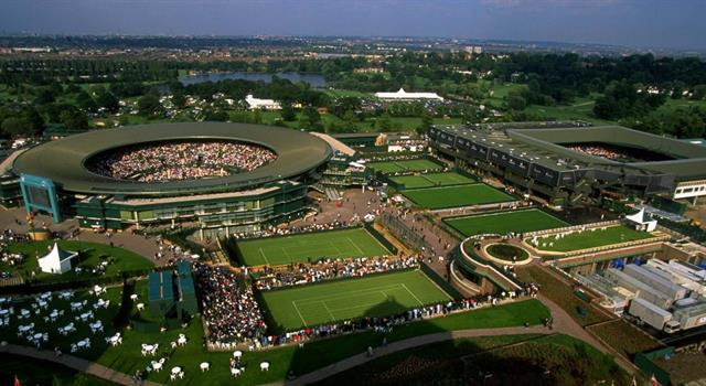 History Trivia Question: How many tournament grass courts does Wimbledon have? History Trivia Question: How many tournament grass courts does Wimbledon have?
