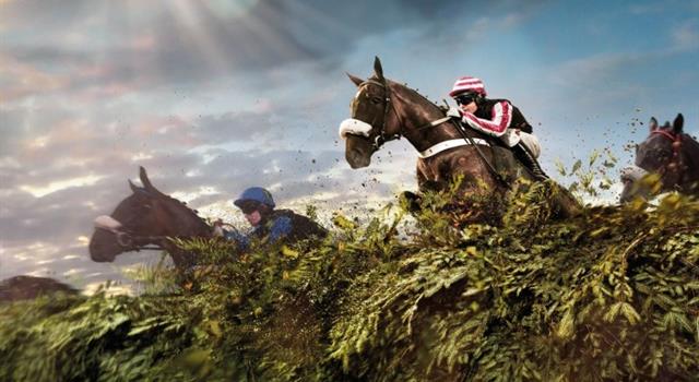 In what year was the Grand National horse race declared void?