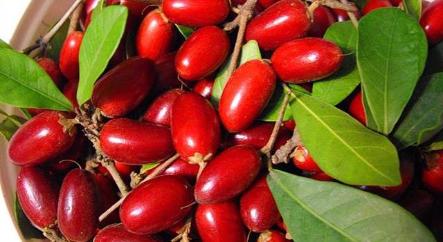 Какое соединение, не являясь сладким само по себе, модифицирует вкусовые рецепторы, позволяя воспринимать кислый вкус как сладкий? Какое соединение, не являясь сладким само по себе, модифицирует вкусовые рецепторы, позволяя воспринимать кислый вкус как сладкий?