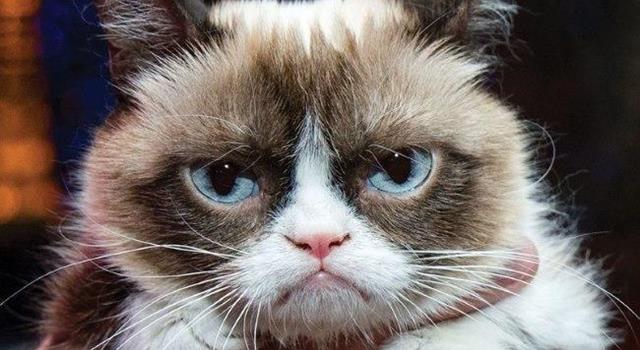 Pluto is not a planet in our solar system as of what year?