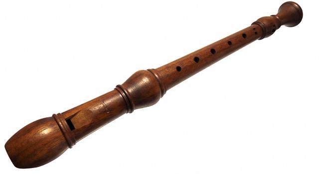 To what family of musical instruments does a recorder belong?