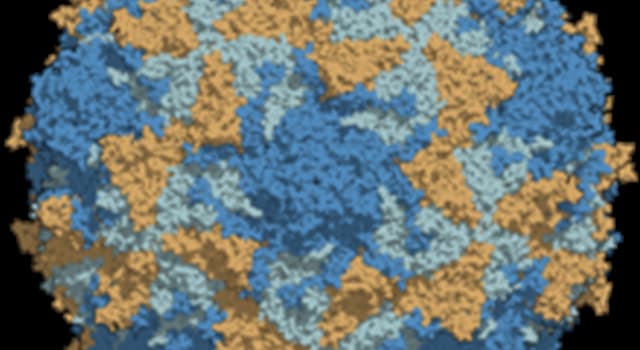 Science Trivia Question: What is the syndrome that affects survivors of poliomyelitis, decades afterwards? Science Trivia Question: What is the syndrome that affects survivors of poliomyelitis, decades afterwards?