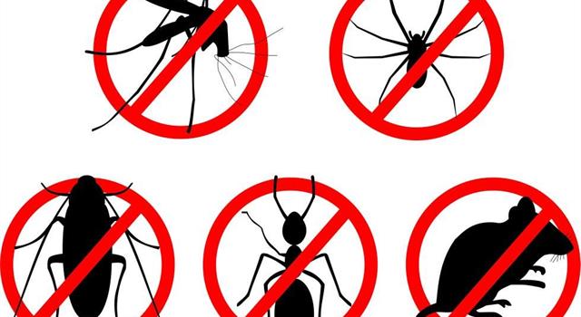 Society Trivia Question: Which U.S. city as of 2017 is the most vermin-infested with rats and cockroaches? Society Trivia Question: Which U.S. city as of 2017 is the most vermin-infested with rats and cockroaches?