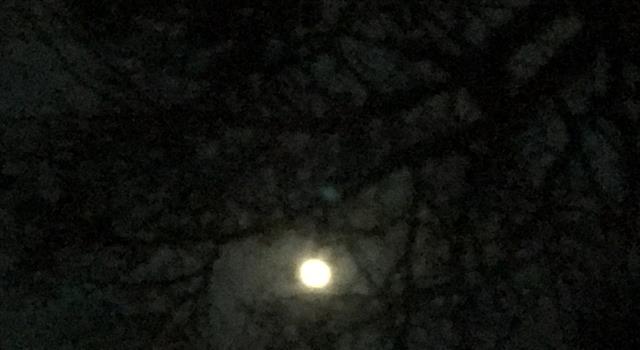 Who said: "There are nights when the wolves are silent and only the moon howls"?