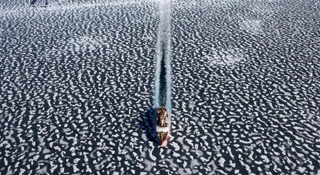 History Trivia Question: In which country was the first nuclear icebreaker built? History Trivia Question: In which country was the first nuclear icebreaker built?