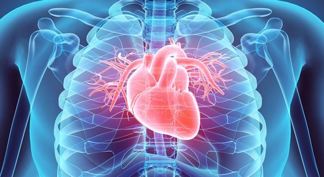 Science Trivia Question: What is a normal cardiac rhythm called? Science Trivia Question: What is a normal cardiac rhythm called?