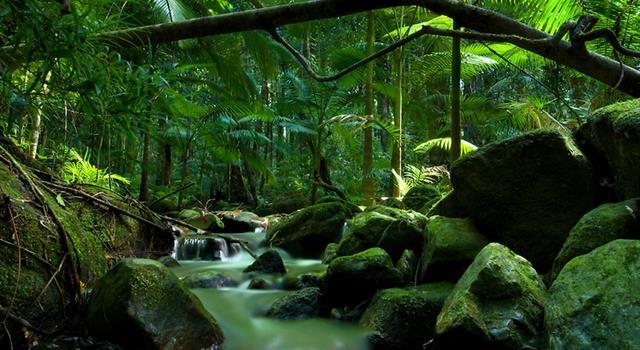 Where is the most bio-diverse place on earth? Where is the most bio-diverse place on earth?