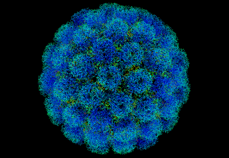 What is the syndrome that affects survivors of poliomyelitis, decades afterwards?