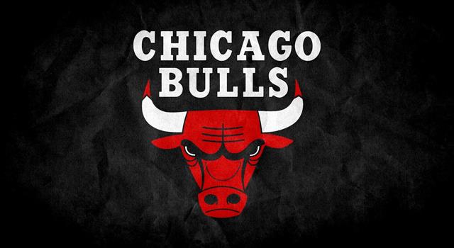 Who was hired as assistant coach for the Chicago Bulls in 1987 and was promoted to head coach in 1989? Who was hired as assistant coach for the Chicago Bulls in 1987 and was promoted to head coach in 1989?