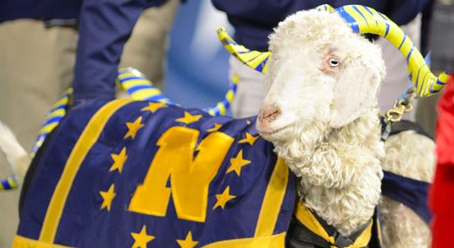 Bill the Goat is the mascot of the United States Naval Academy but what was the first mascot? Bill the Goat is the mascot of the United States Naval Academy but what was the first mascot?